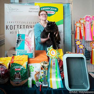 �������� ����� 18-19.03.2023 ���������� 5-31-0445_Moskva.jpg