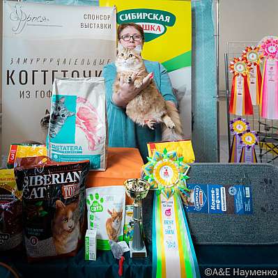 �������� ����� 18-19.03.2023 ���������� 9-34-0440_Moskva.jpg