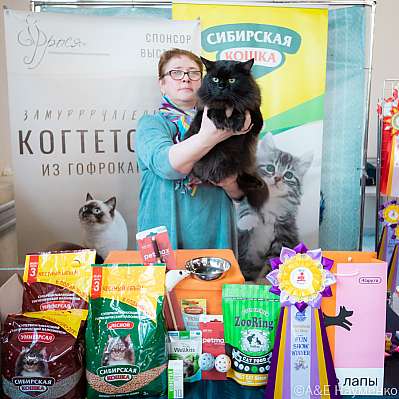 �������� ����� 18-19.03.2023 ���������� 8-31-0369_Moskva.jpg