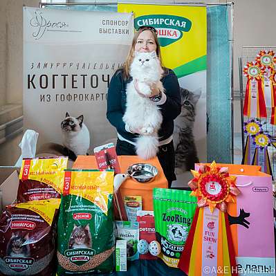 �������� ����� 18-19.03.2023 ���������� 4-3-0413_Moskva.jpg