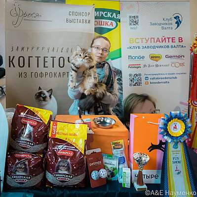 �������� ����� 18-19 ����� 2023 �., ������������ � ������ ���.