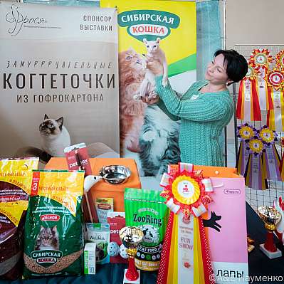 �������� ����� 18-19 ����� 2023 �., ������������ � ������ ���.