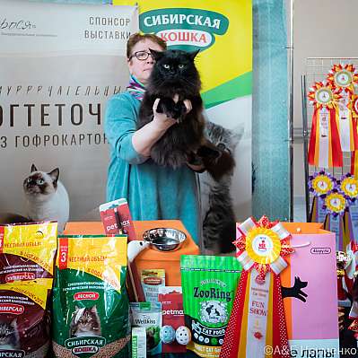 �������� ����� 18-19.03.2023 ���������� 4-31-0400_Moskva.jpg