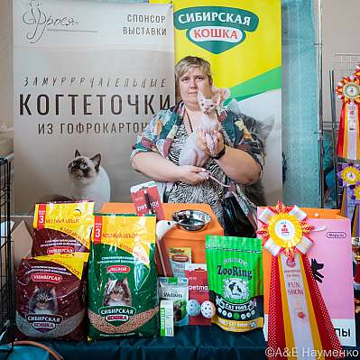 �������� ����� 18-19.03.2023 ���������� 8-71-0401_Moskva.jpg