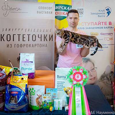 �������� ����� 18-19 ����� 2023�. WCF-�����