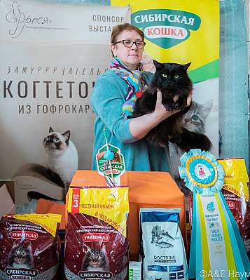 �������� ����� 18-19.03.2023 ���������� 6-31-0329_Moskva.jpg