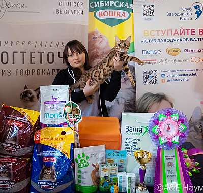 �������� ����� 18-19 ����� 2023 �. WCF-�����