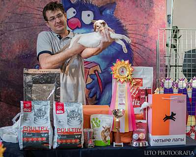 �������� ����� 15-16.04.2023 ����������  5-90-733.jpg