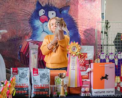 �������� ����� 15-16.04.2023 ����������  8-100-671.jpg