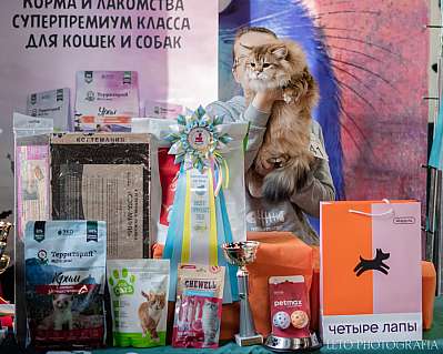 �������� ����� 15-16.04.2023 ����������  6-41-508.jpg