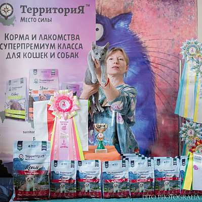 �������� ����� 15-16 ������ 2023 �., ������������ � ������ ���.