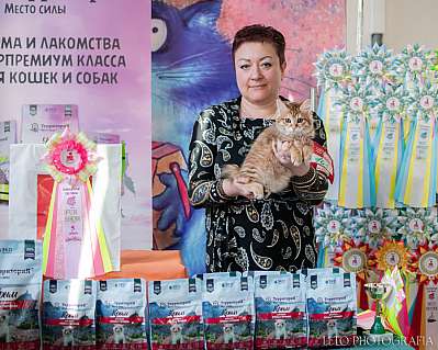 �������� ����� 15-16.04.2023 ����������  5-103-413.jpg