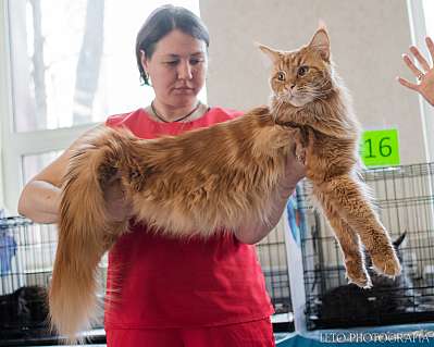 �������� ����� 15-16.04.2023 ����������  6-4-372.jpg