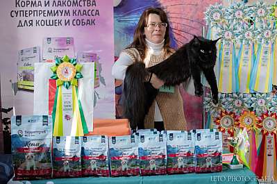 �������� ����� 15-16.04.2023 ����������  8-11-407.jpg