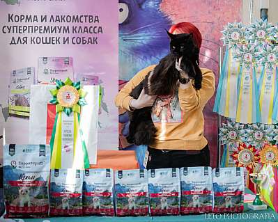 �������� ����� 15-16.04.2023 ����������  9-12-422.jpg