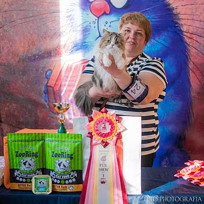 �������� ����� 15-16 ������ 2023 �., ������������ � ������ ���.