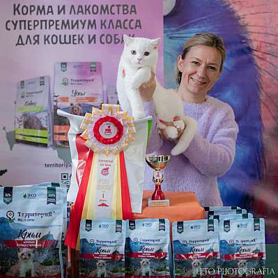 �������� ����� 15-16 ������ 2023 �., ������������ � ������ ���.