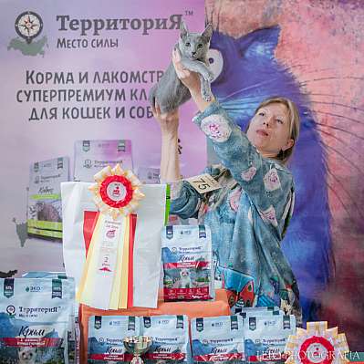 �������� ����� 15-16.04.2023 ����������  2-74-303.jpg