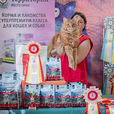 �������� ����� 15-16.04.2023 ����������  3-4-312.jpg