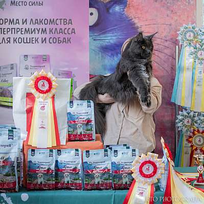 �������� ����� 15-16.04.2023 ����������  5-2-316.jpg