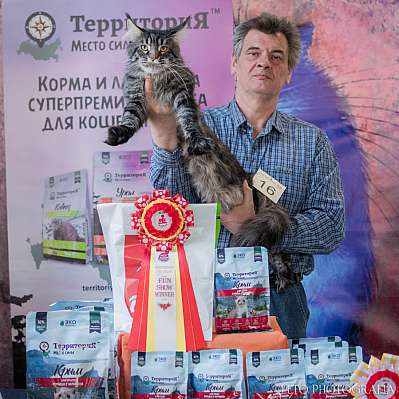 �������� ����� 15-16.04.2023 ����������  7-16-335.jpg