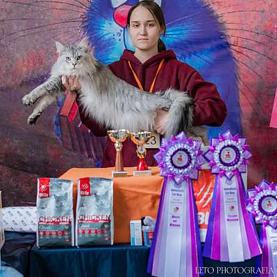 �������� ����� 15-16 ������ 2023 �., ������������ � ������ ���.