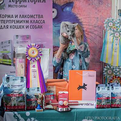 �������� ����� 15-16 ������ 2023 �., ������������ � ������ ���.