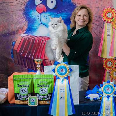 �������� ����� 15-16 ������ 2023 �., ������������ � ������ ���.