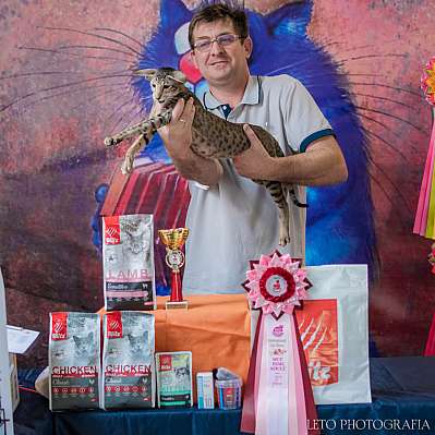 �������� ����� 15-16.04.2023 ����������  3-89-389.jpg