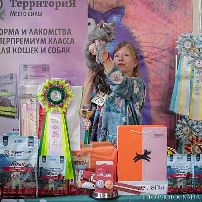 �������� ����� 15-16 ������ 2023 �. WCF-�����