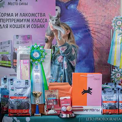 �������� ����� 15-16 ������ 2023 �. WCF-�����