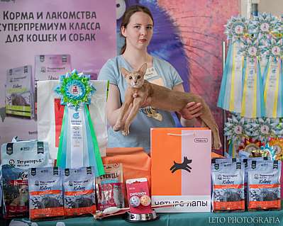 �������� ����� 15-16.04.2023 ����������  7-100-063.jpg