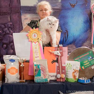 �������� ����� 22-23.07.2023 ���������� 10-18-623.jpg