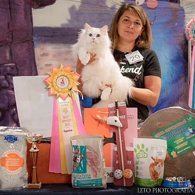 �������� ����� 22-23.07.2023 ���������� 11-29-631.jpg