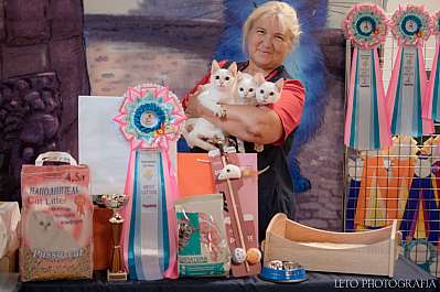 �������� ����� 22-23.07.2023 ���������� 18-73-592.jpg