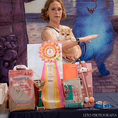 �������� ����� 22-23.07.2023 ���������� 19-68-585.jpg