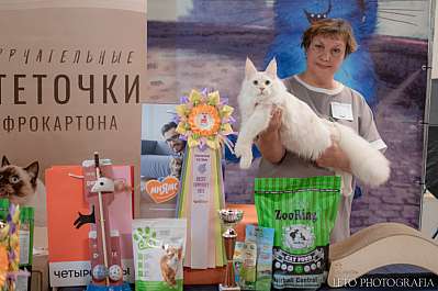 �������� ����� 22-23.07.2023 ���������� 10-9-468.jpg