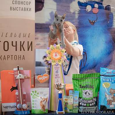 �������� ����� 22-23.07.2023 ���������� 11-63-462.jpg