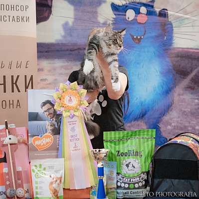 �������� ����� 22-23.07.2023 ���������� 12-17-458.jpg