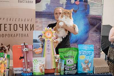 �������� ����� 22-23.07.2023 ���������� 4-4-495.jpg