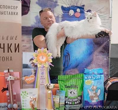 �������� ����� 22-23.07.2023 ���������� 7-12-487.jpg