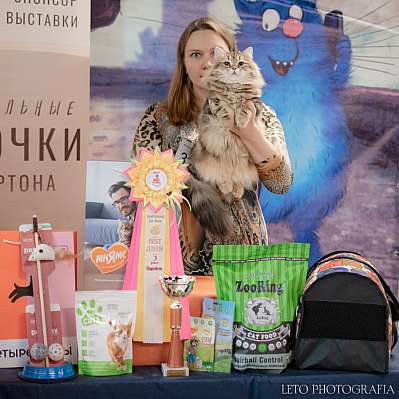 �������� ����� 22-23.07.2023 ���������� 9-32-475.jpg