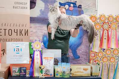 �������� ����� 15-16 ������ 2023 �., ������������ � ������ ���.