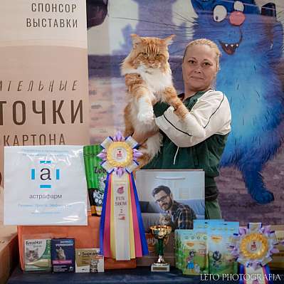 �������� ����� 22-23.07.2023 ���������� 2-4-368.jpg