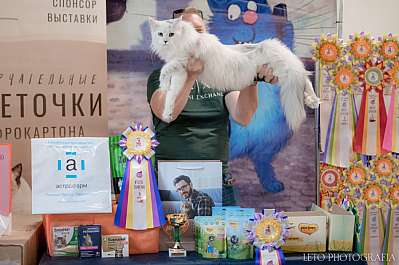 �������� ����� 22-23.07.2023 ���������� 3-12-390.jpg