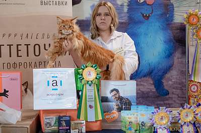 �������� ����� 22-23.07.2023 ���������� 4-6-382.jpg