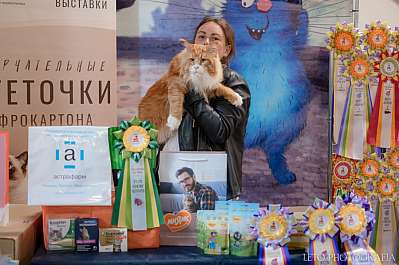 �������� ����� 22-23.07.2023 ���������� 6-81-372.jpg