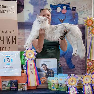 �������� ����� 22-23.07.2023 ���������� 7-18-377.jpg