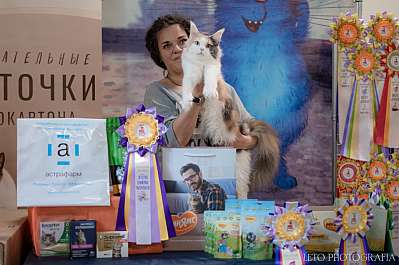 �������� ����� 22-23.07.2023 ���������� 8-13-388.jpg