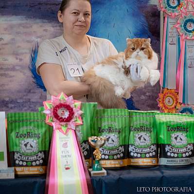 �������� ����� 22-23 ���� 2023 �., ������������ � ������ ���.